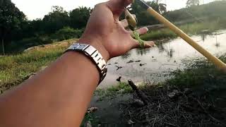 preview picture of video 'Casting gabus babon di danau dipo, gabusnya rakus'