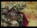 venus in furs - performance 