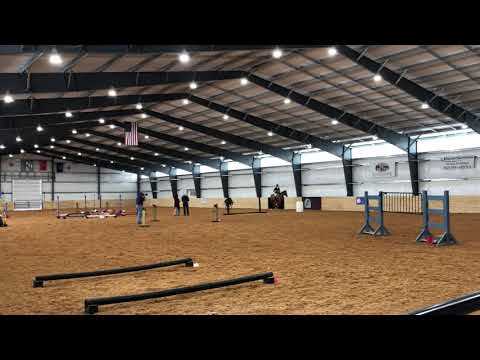 Always The Optimist - ERAHC Working Equitation L1 EOH - Mother's Day 2021