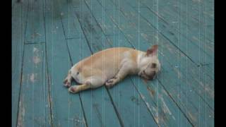 Nick Drake - Black Eyed Dog (Amine Edge Edit)