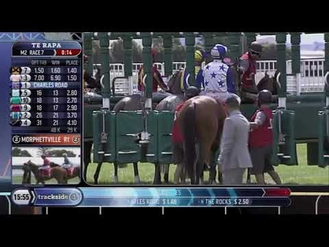 Herbie Dyke Stakes - On The Rocks