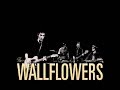 The Wallflowers - Some Flowers Bloom Dead