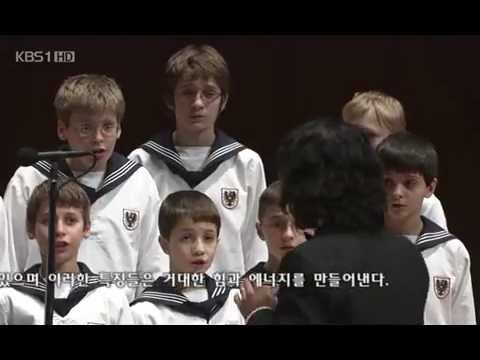 The Vienna Boys Choir - Dilmano, Dilbero