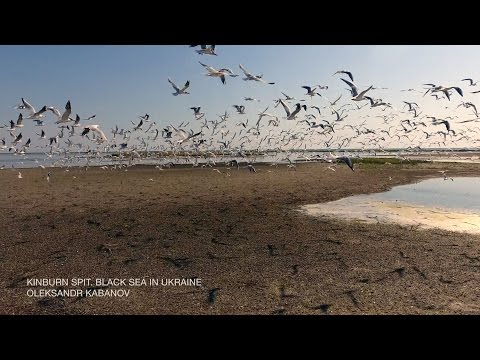 Kinburn Spit -DJI Phantom 4