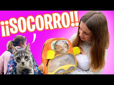 REACCIÓN de Nuestra NUEVA MASCOTA a SU mochila de Viajes