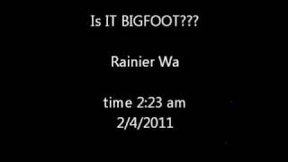 preview picture of video 'Bigfoot crying 2/4/2011'