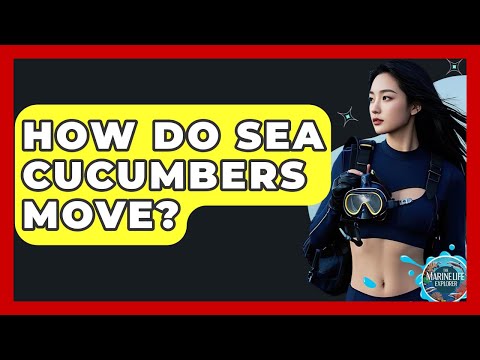 How Do Sea Cucumbers Move? - The Marine Life Explorer
