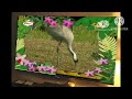BabyTV The Amazing World Twitter Video 1
