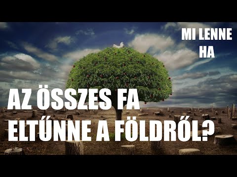 Fertőtlenítse a péniszt