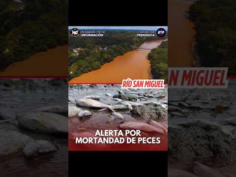 ALERTA AMBIENTAL EN EL RÍO SAN MIGUEL, PUTUMAYO !!! 🚨🇨🇴