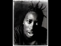 Busta Rhymes Ft Ol Dirty Bastard Woo Hah Got You All In Check 90shiphop