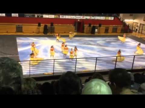 Vestavia hills winter guard jan 2015