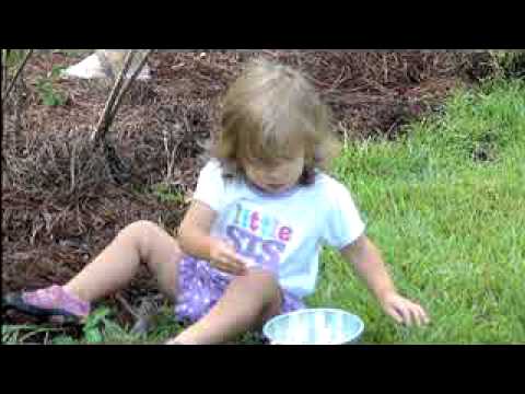 Blueberries 17Jul10 6.MPG