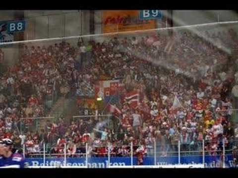 Eisbären Regensburg...Aus und Vorbei