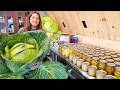 Stocking the Winter Pantry | Harvesting & Canning Our Alaska Garden