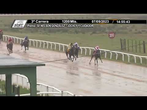 SINT FLORIDA 230907 c03 - 1° ESPADOL