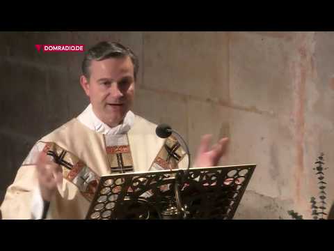 Generalvikar Dr. Markus Hofmann über den heiligen Albert – Predigt aus der Frühmesse vom 15.11.2018