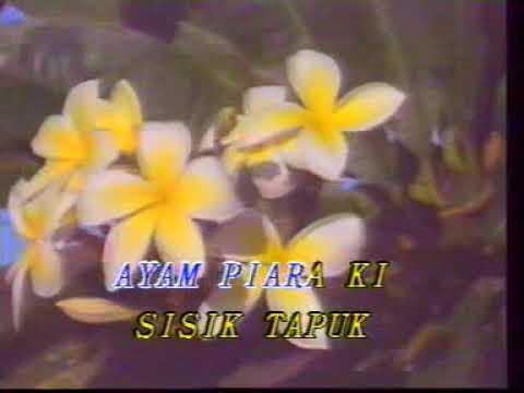 Ayam Piara - Jos ginsos