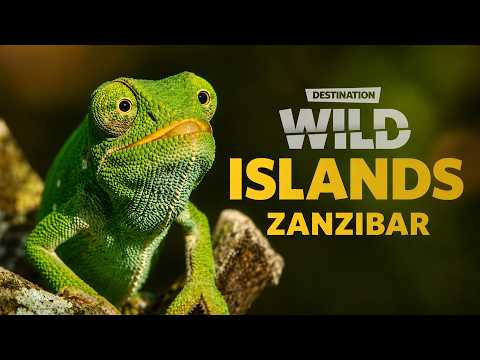 Wild Islands: Zanzibar