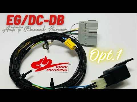 Auto to Manual Wiring Harness! Acura Integra Honda Civic