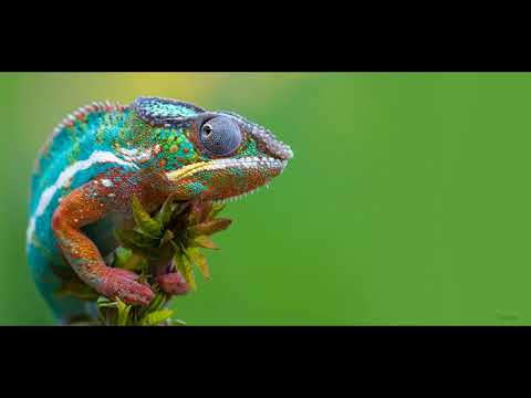 EXTASIS 101  aciiiiiiiiiid