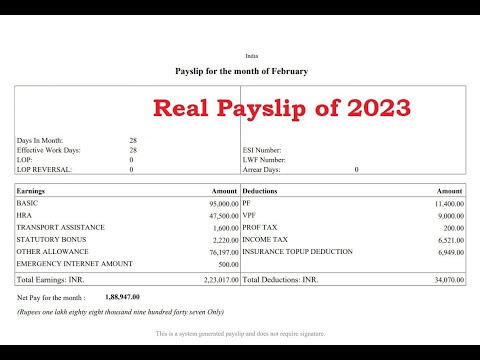 EPF or PPF - Which one should you invest in? #VPF #Payslip