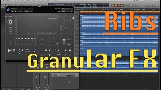 Video thumbnail for Ribs Granular FX by Hvoya Audio by Ridge Studio