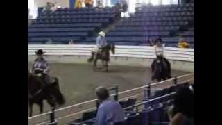 The Kings Reward Celebration 2012 2yo TP