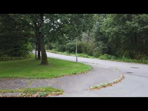 Sass, Less, Scss, Css or PostCss?