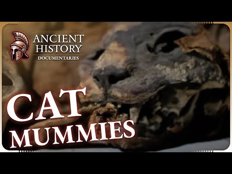 Mystical Land of Punt | Egypt's Unexplained Files | Ancient History