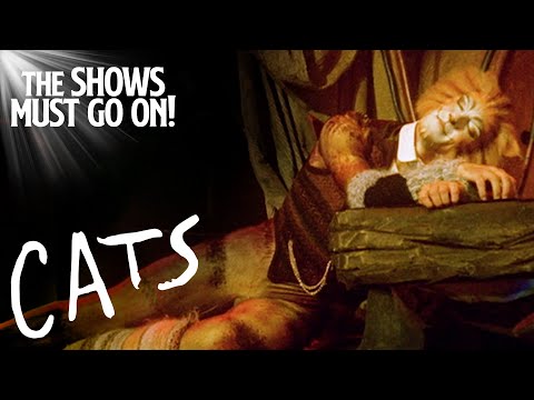 Skimbleshanks, The Railway Cat cover