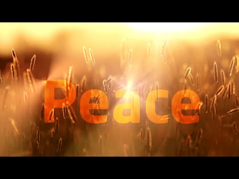 Peace Within Meditation (no music)