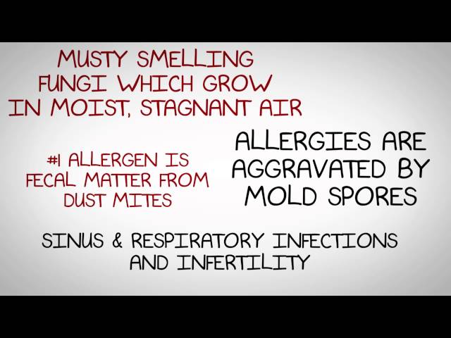 Part 4 of 5: The Five Danger Levels of Indoor Air Quality