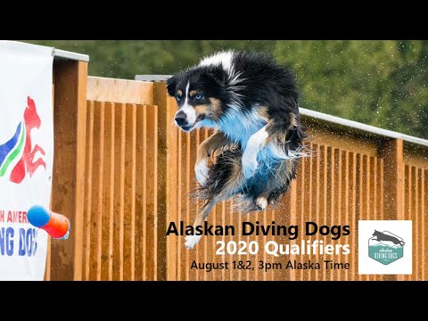 Alaskan Diving Dogs - 2020 Qualifiers