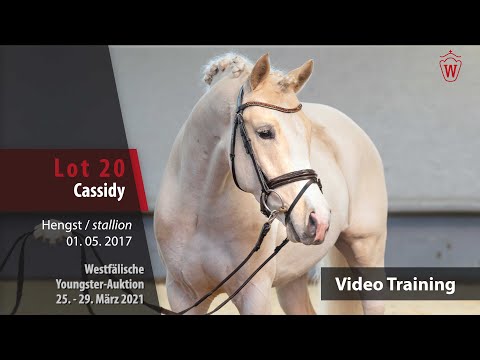Westf. Youngster-Auktion Trainingsvideo Lot 20 Cassidy Hengst v. Cosmopolitan D - Casino Royale K WE