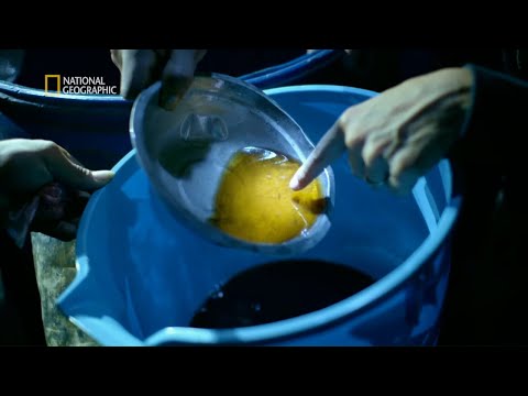 Sprawdziliśmy jak wytwarza się kokainę! [Ciemna strona świata]