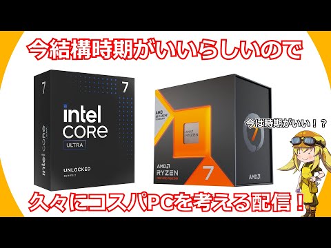 【コスパPC配信】今は時期が結構いいらしいので超久々にコスパPCを選定する配信をせんとす【雑談】