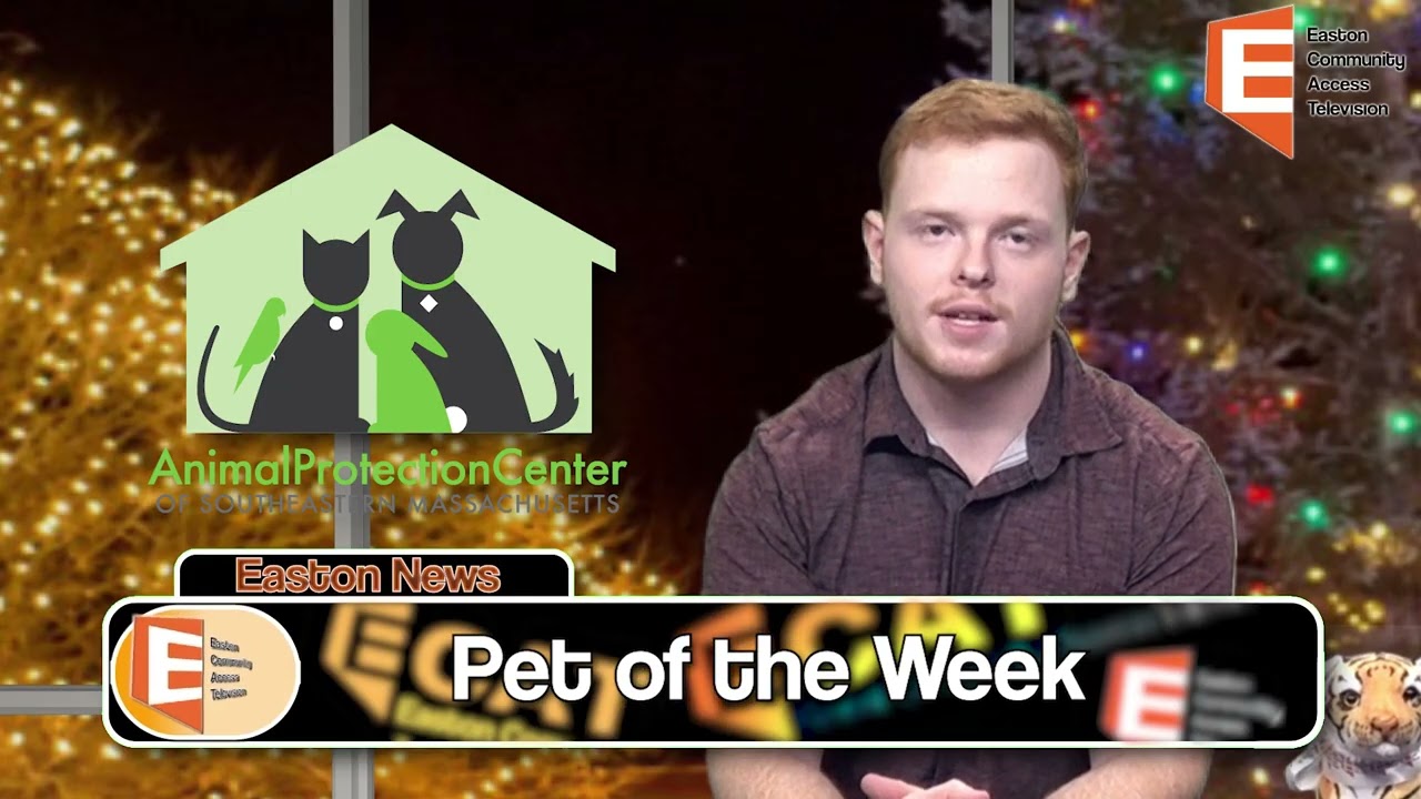 Easton News 12/31/2024