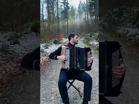 Shostakovich: Waltz No. 2 #accordionplayer #baroquemusic #music #accordion #classicalmusic