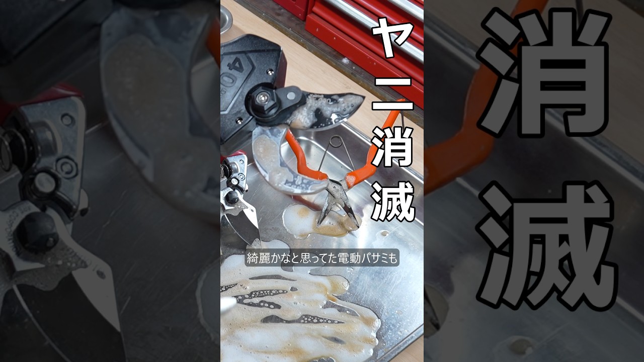 【頑固汚れ】ヤニが溶けるAZのヤニ取りクリーナーと潤滑防錆スプレー #エーゼット #ヤニ取り#潤滑防錆スプレー #剪定 #shorts