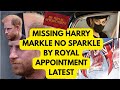 MISSING HARRY MEGHAN MORE ROYAL APPOINTMENT Royal Princeharry Meghanmarkle