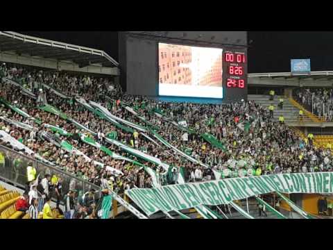 "A mi me volvió loco ser de Nacional - Los del Sur (vs Fortaleza)" Barra: Los del Sur • Club: Atlético Nacional