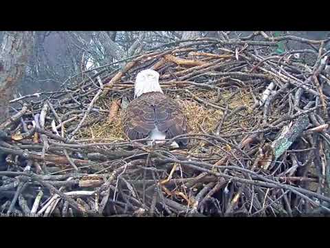 ECC/MPDC/E4K-We have a PIP!!