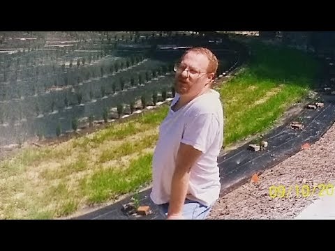 download lagu mp3 mp4 John B Mclemore, download lagu John B Mclemore gratis, unduh video klip John B Mclemore