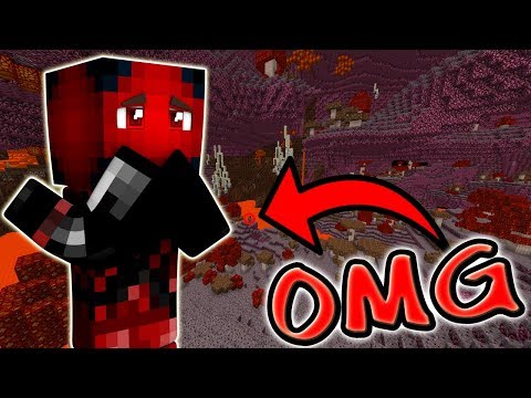 EXPLORING THE NEW NETHER DIMENSION!! Minecraft Insanity Survival S2 #3 (MODDED)