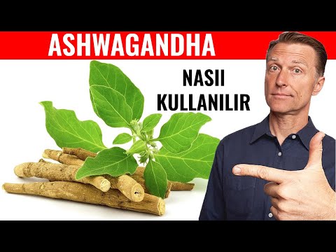 Ashwagandha (Morsalkım Bitkisi) İle Kortizol Seviyelerini Düzenleyin | Dr.Berg Türkçe