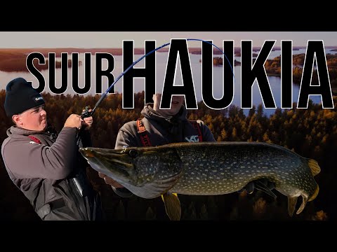 Uskomaton Päivä Vesillä – Kaksi YLI 10kg Haukea Putkeen! 