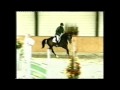 Alex on the spot horses PREVEIW 