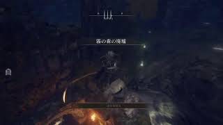 初見プレイ　エルデンリング　今日どこいこうかね