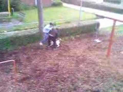 Mocro Aangevallen Door Hond